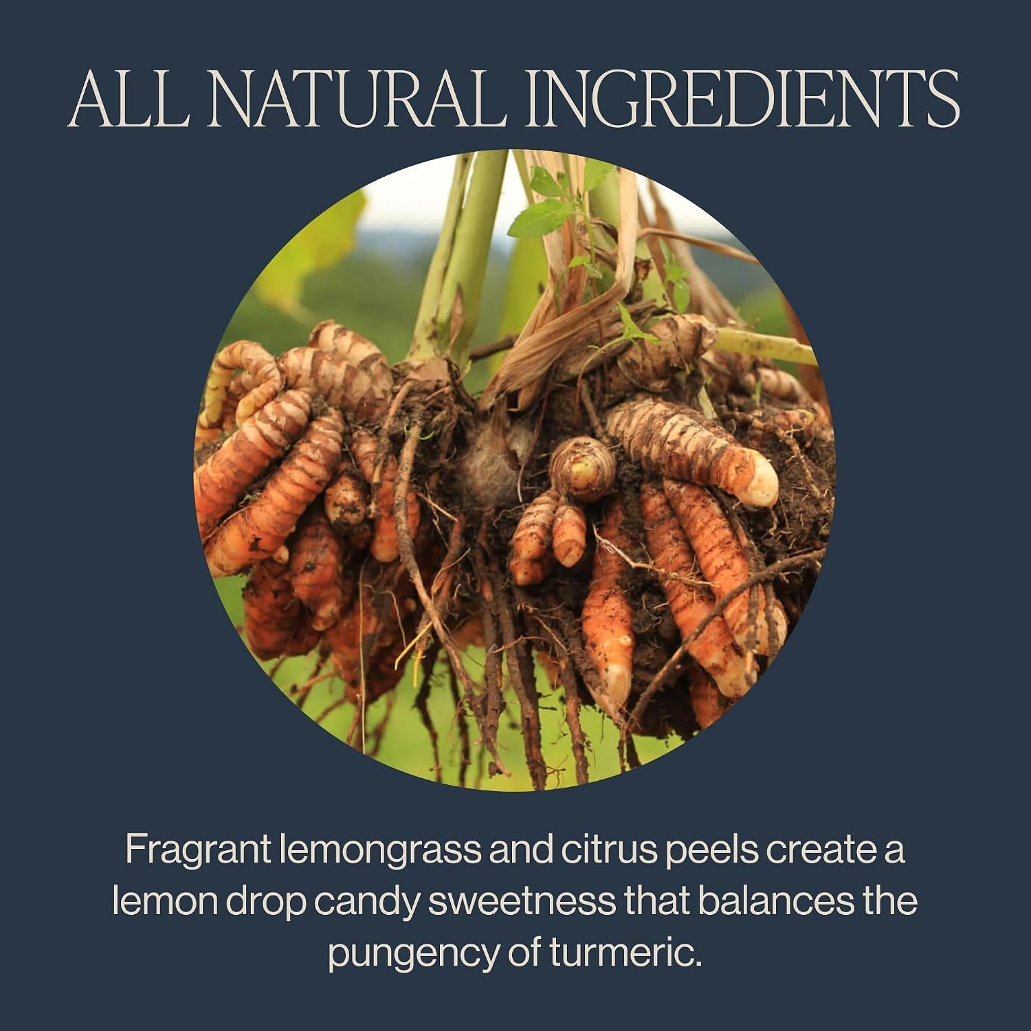 turmeric-ginger-organic-sachet-tea-bags-caffeine-free-15ct-spicy-ginger-and-citrus-herbal-tea-blend-enjoy-hot-or-iced-sustainable-15-servings