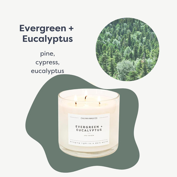 Evergreen & Eucalyptus 3 Wick Scented Candle - 43 Hour Burn2