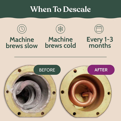 Breville Compatible Descaling Solution, 2 Pack | Specially Formulated to Clean & Descale Espresso Machine, 2 Uses per Bottle, Eco-Friendly, Carbon Neutral6