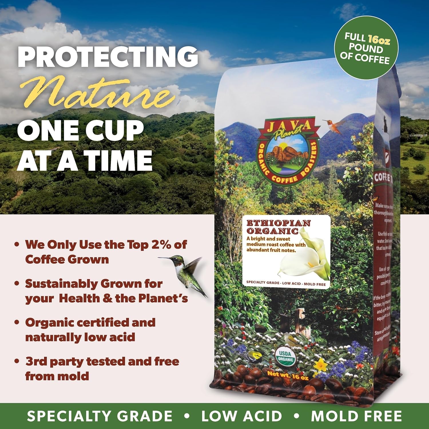 low-acid-organic-ethiopian-coffee-beans-medium-roast-16-oz