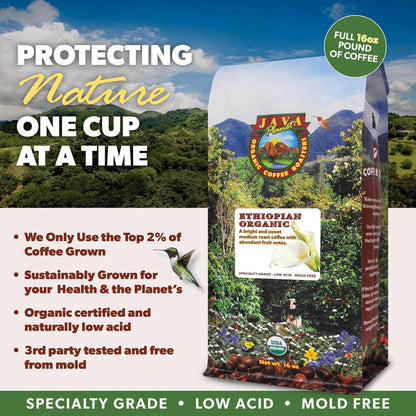 Low Acid Organic Ethiopian Coffee Beans, Medium Roast, 16 Oz6