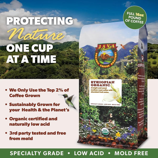 Low Acid Organic Ethiopian Coffee Beans, Medium Roast, 16 Oz6