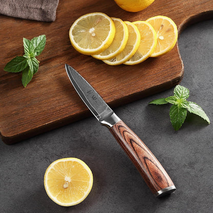 EDIB Damascus Chef Knife Set, VG10 Core Blades, 6-Pcs Kitchen Knives | Six Damascus Chef Knives with 67-Layer VG10 Damascus Steel for All Kitchen Needs, Pakkawood Handles and Wooden Gift Box7