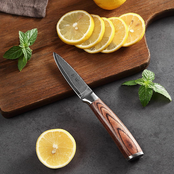 EDIB Damascus Chef Knife Set, VG10 Core Blades, 6-Pcs Kitchen Knives | Six Damascus Chef Knives with 67-Layer VG10 Damascus Steel for All Kitchen Needs, Pakkawood Handles and Wooden Gift Box7