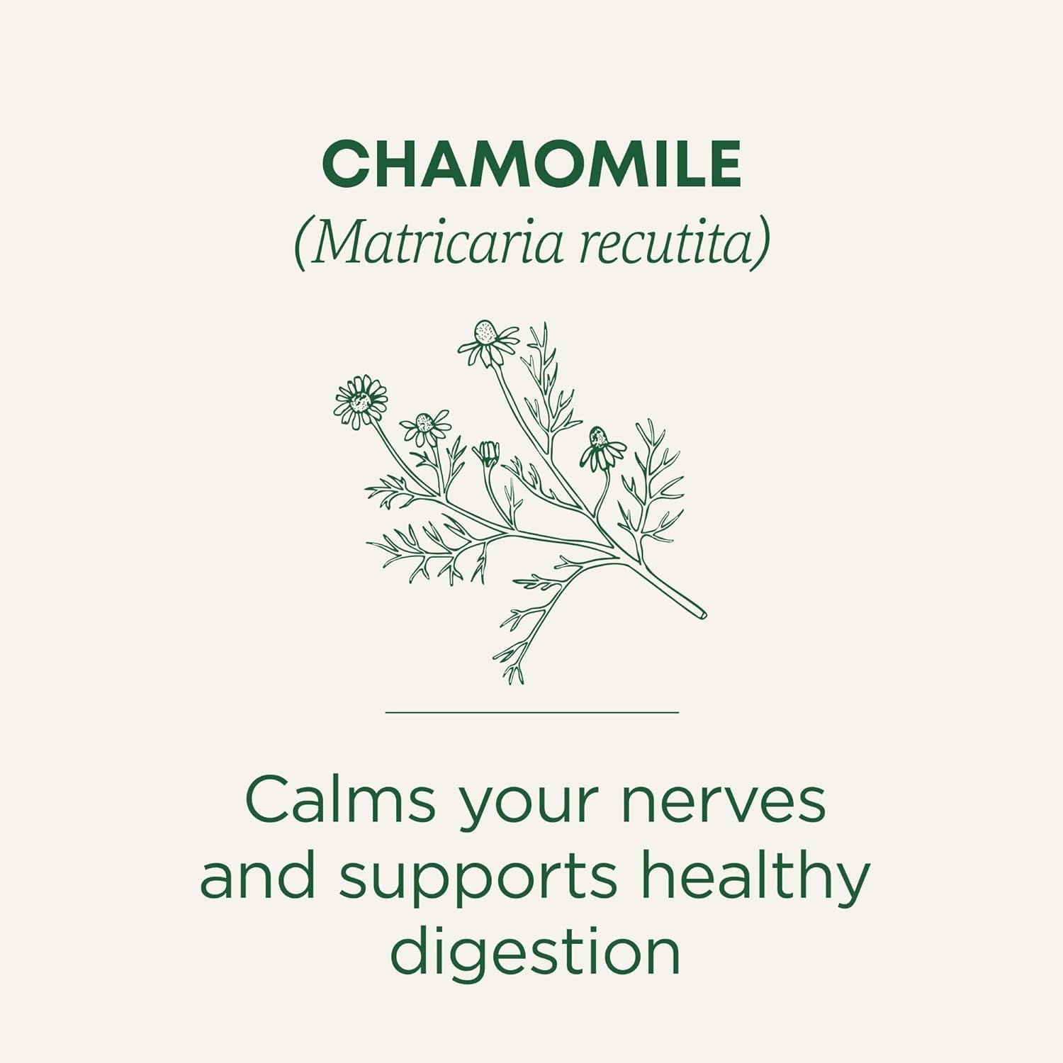organic-chamomile-tea-supports-stress-relief-and-relaxation-kosher-non-gmo-caffeine-free-compostable-16-tea-bags-supports-stress-relief-and-relaxation-kosher-non-gmo-caffeine-free-compostable