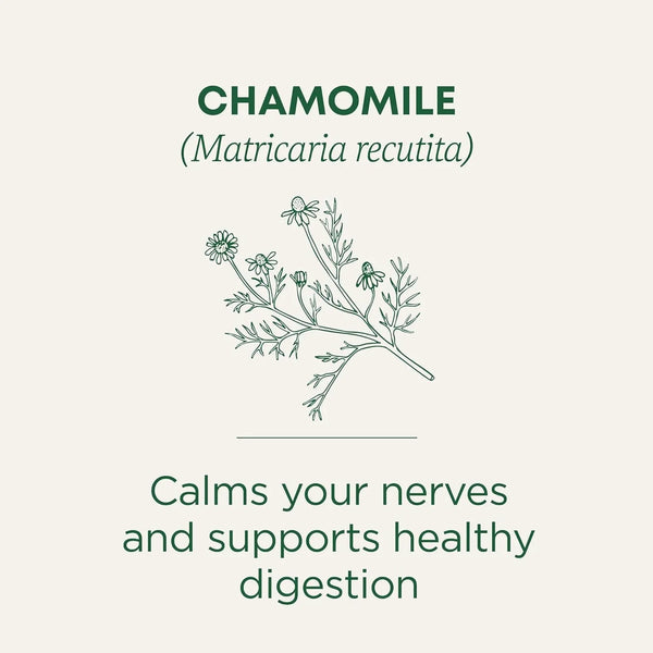 Organic, Chamomile Tea - Supports Stress Relief and Relaxation - Kosher, Non-Gmo, Caffeine-Free, Compostable - 16 Tea Bags | Supports Stress Relief and Relaxation, Kosher, Non-Gmo, Caffeine-Free, Compostable3