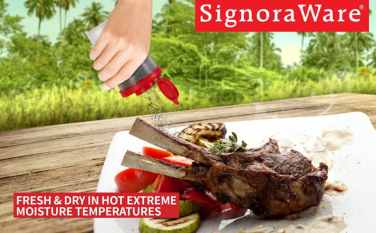 signoraware-salt-and-pepper-shakers-moisture-proof-set-of-2-large-salt-shaker-to-go-camping-picnic-outdoors-kitchen-lunch-boxes-travel-spice-set-clear-with-red-covers-lids-plastic-airtight-dispenser
