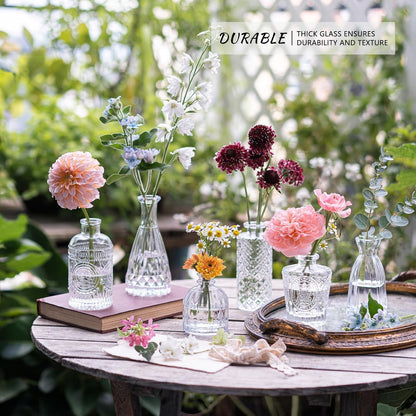 12Pcs Glass Bud Vase Set, Clear Small Flower Vases for Centerpieces2