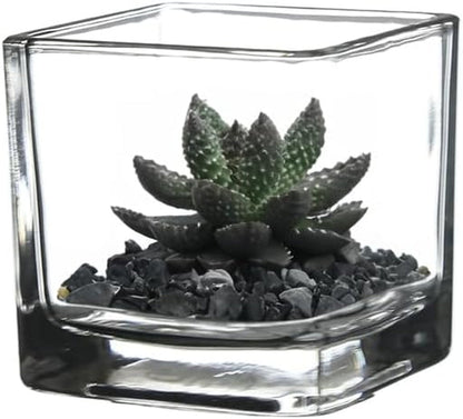 WGV 2 Inch Tea Light Votive Candle Holder, Clear, Square Cube 2”X2”, Small Tiny, Home Décor, Table Top, 1 Pc5