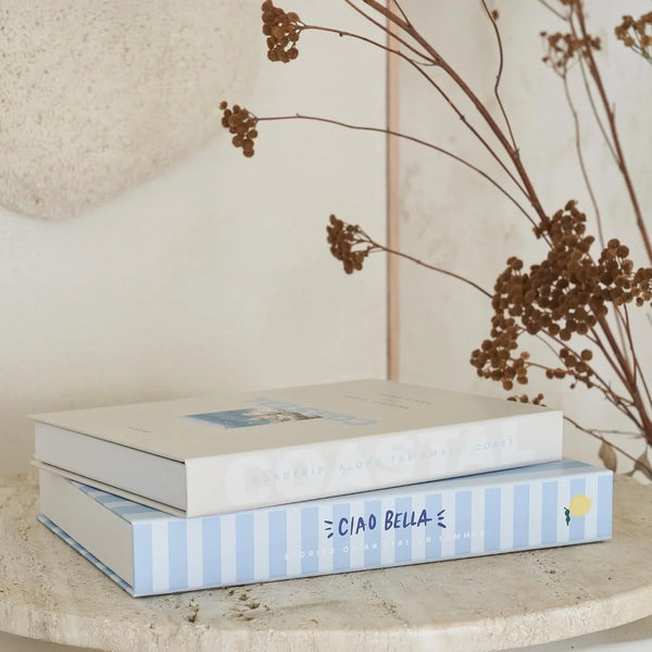 Beautiful Decorative Books - Set of 2 Coastal Boxes for Coffee Table Decor | Aesthetic Fake/Faux Books for Modern Home Decoration - Coastal Room Decor for Bookshelf or Mantel, Photo Storage/Keepsake Box7