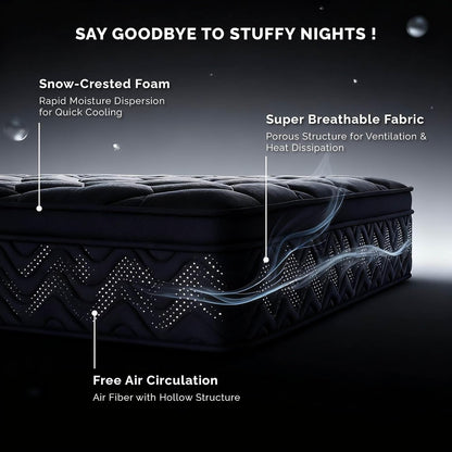Premium 12 Inch Queen Size Mattress - Black Diamond Quilted, Individual Pocket Spring & Memory Foam Top, Luxurious Support, Pressure Relief, Mot4
