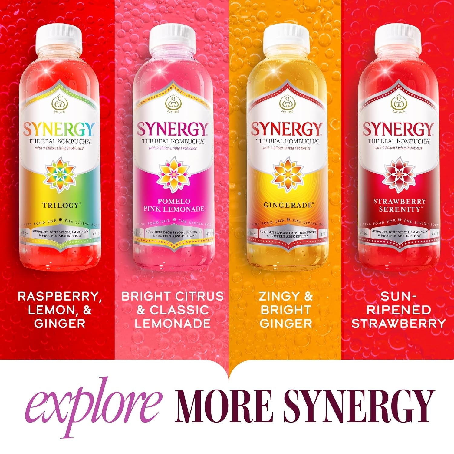 the-real-kombucha-lemon-berry-16-fl-oz-bottle-raw-probiotic-drink-for-gut-health-and-immune-support