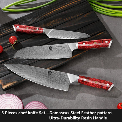 Damascus Kitchen Knife Sets 3 PCS, Razor Sharp Kitchen Knives Made of Japanese Damascus Steel, Well-Balanced Damascus Chef Knife Set with Premium Resin Full Tang Handle Triple Rivet Gift Box3