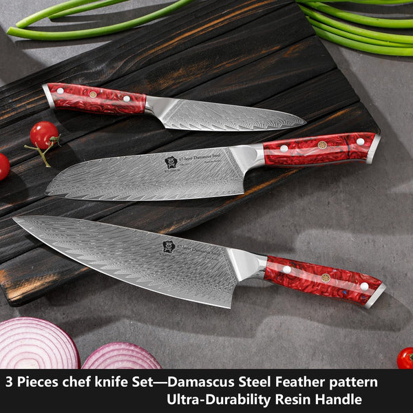 Damascus Kitchen Knife Sets 3 PCS, Razor Sharp Kitchen Knives Made of Japanese Damascus Steel, Well-Balanced Damascus Chef Knife Set with Premium Resin Full Tang Handle Triple Rivet Gift Box3