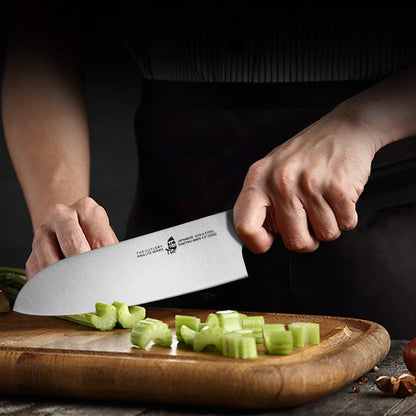 Santoku Knife 5.5 Inch Small Kitchen Knife Pro Asian Chef Knife Cooking Knife for Vegetable Fruit and Meat, AUS-8 Stainless Steel with Comfortable Handle, Gift Box Ring Lite Series2
