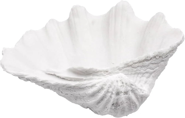 Medium White Scalloped Clam Shell Bowl Sea Shell Decor for Nautical Beach House,Coastal Decor Gift of Housewarming and Wedding Party1