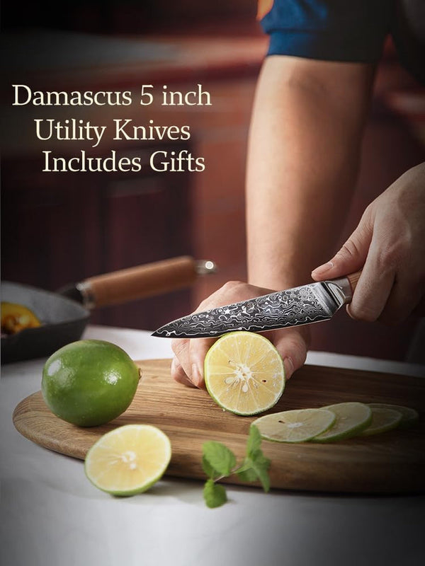 DONGSUN 5 Inch Damascus Utility & Steak Knife with North American Black Walnut Sheath, 67-Layer VG10 Forged Steel Japanese Kitchen Knife, Professional Durable Sharpness5