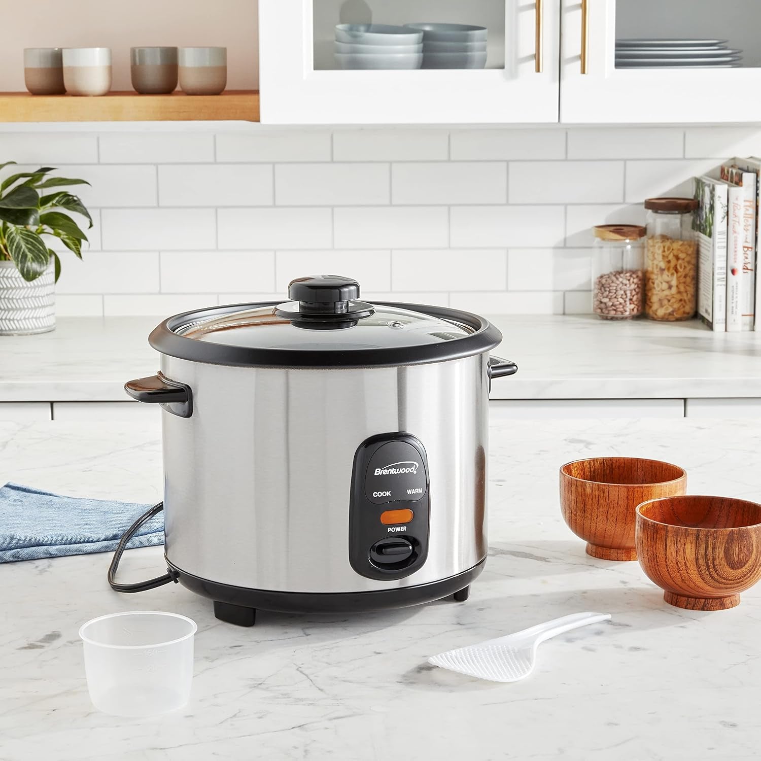 ts-20-rice-cooker-10-cup-stainless-steel