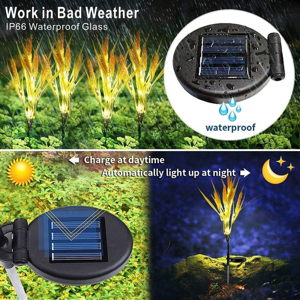 Solar Flower Lights Outdoor 2 Pack Wheat Ear Garden Lights3