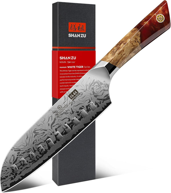 Damascus Chef Knife, SG2 Powder Steel Japanese Kitchen Knife1