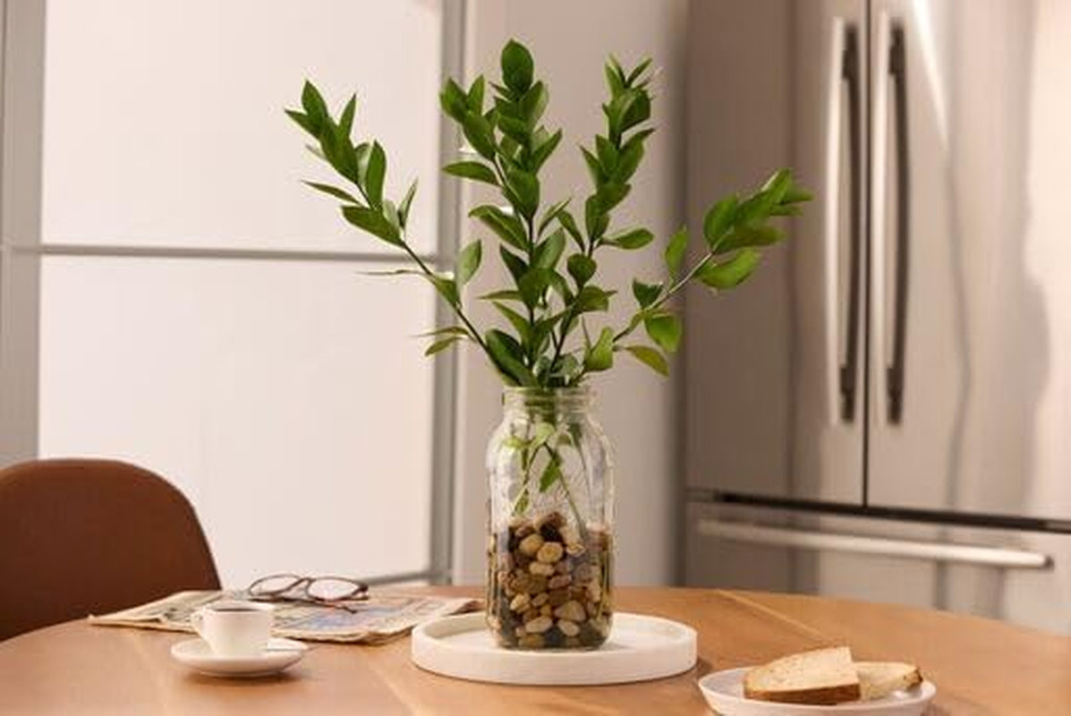 64-ounce-jar-wide-mouth-set-of-2