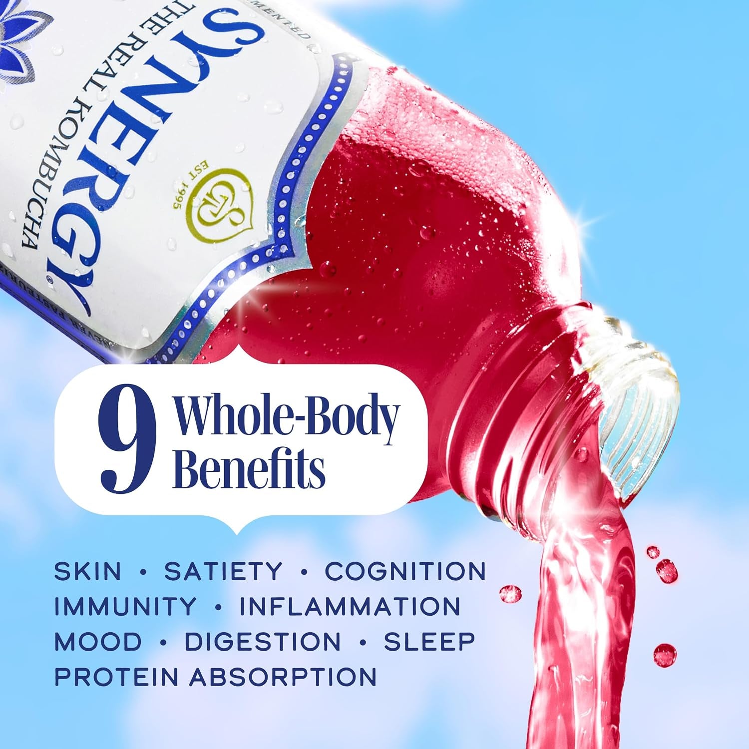 the-real-kombucha-gingerberry-16-fl-oz-bottle-raw-probiotic-drink-for-gut-health-and-immune-support