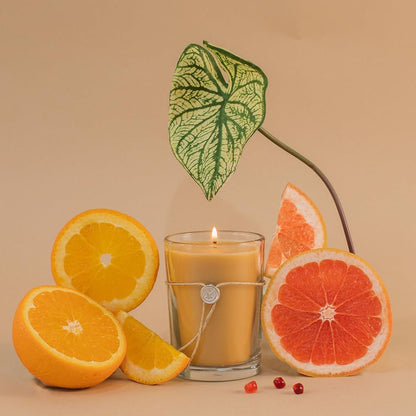 Votivo Red Currant 6.8 Oz Aromatic Candle9