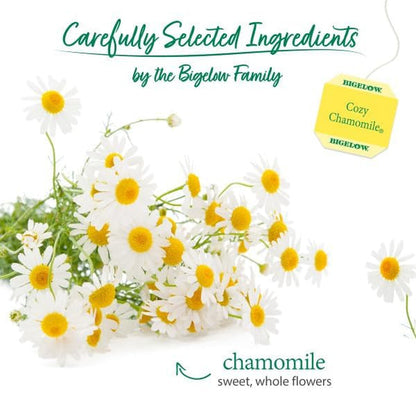 Cozy Chamomile Herbal Tea, 20 Count (Pack of 6) | Caffeine Free Tea with Chamomile Flowers, 120 Total Tea Bags2