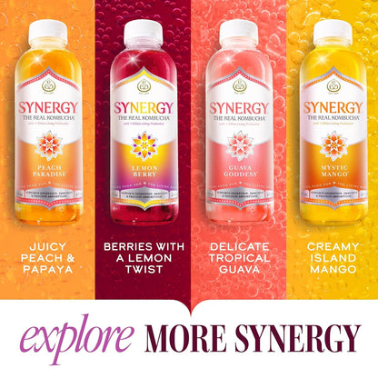 the Real Kombucha - Strawberry Serenity - 16 Fl Oz Bottle - Raw Probiotic Drink for Gut Health and Immune Support8