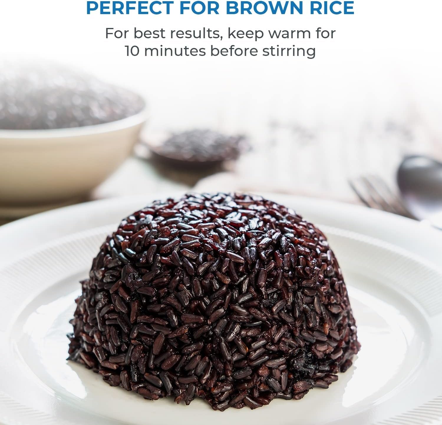 rice-cooker-stainless-steel-inner-pot-rice-maker-large-10-cup-non-stick-electric-rice-maker-for-white-brown-rice-grain-easy-to-clean-non-toxic-warmer-slow-cooker-multicooker-steamer