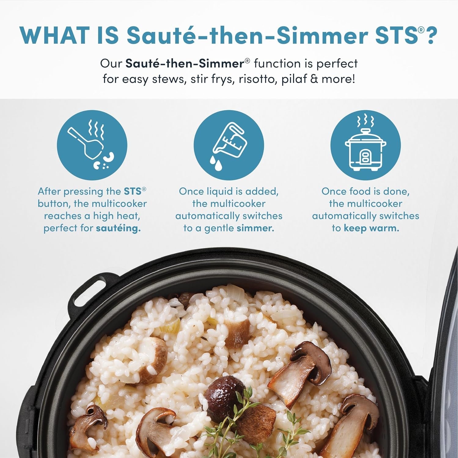 professional-touch-glass-lid-food-steamer-slow-cooker-multicooker-with-11-preset-functions-steam-tray-measuring-cup-rice-spatula-20-cooked