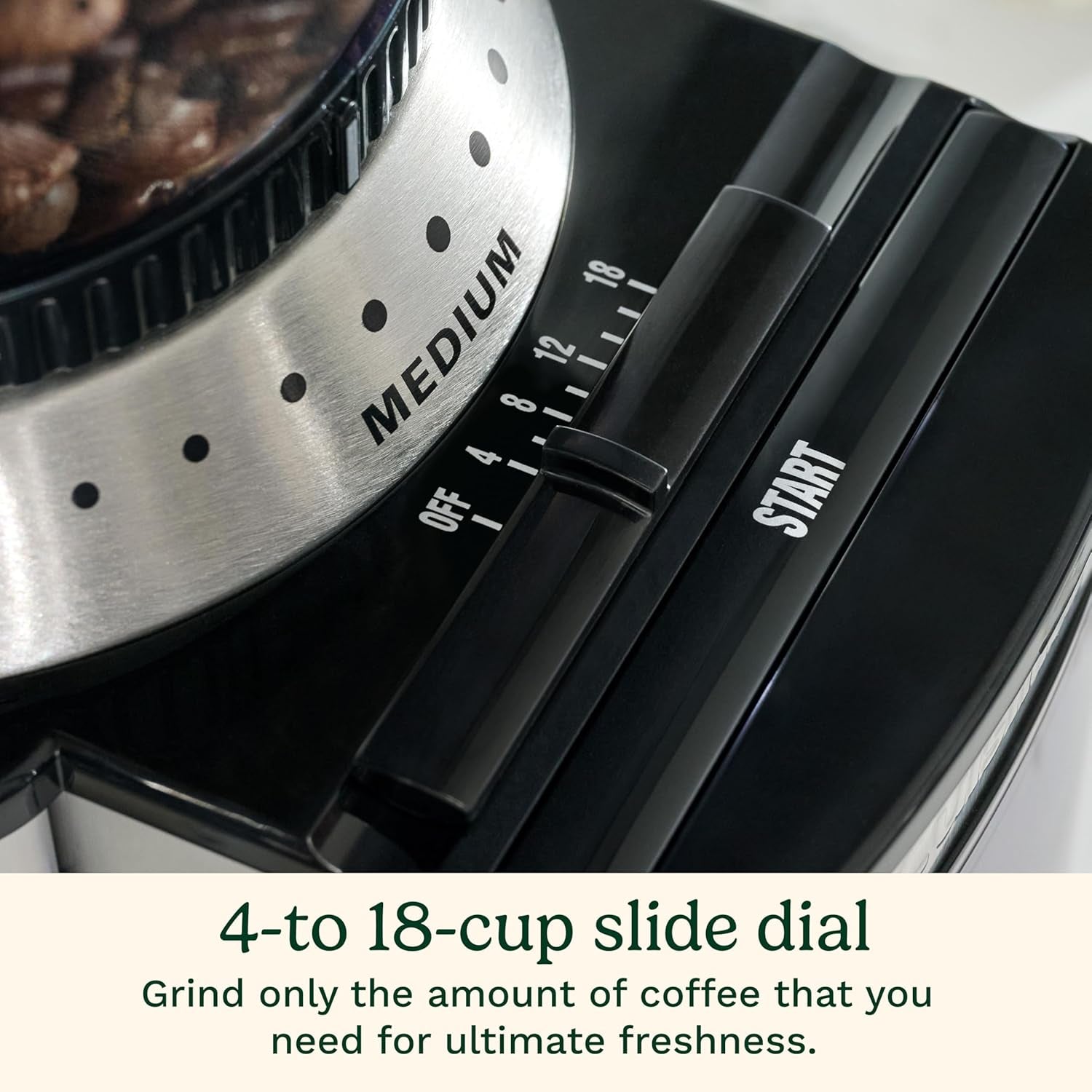 electric-burr-coffee-grinder-18-position-selector-4-18-cups-flat-burr-coffee-bean-grinder-with-18-options-fine-to-coarse-removeable-easy-to-clean-8-oz-bean-hopper-dbm-8p1