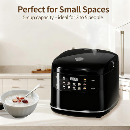 Portable 2 Quart 2L Small Rice Cooker,6 Cups Cooked/3 Cups Uncooked | 10 Functions Fast Cooker 400W Compact Non-Stick Pot Rice Maker with Steamer Basket,24 H Timer Delay and Auto Keep Warm5