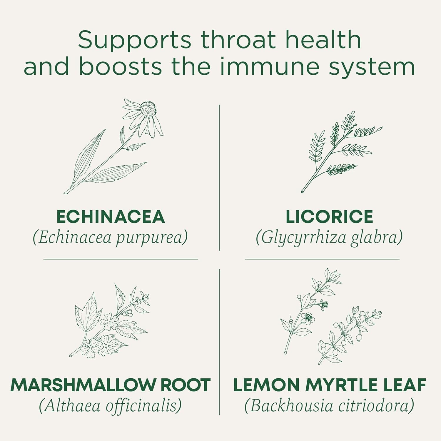 organic-throat-coat-lozenges-lemon-ginger-echinacea-herbal-cough-drops-helps-soothe-sore-throat-non-gmo-stimulant-free-16-count