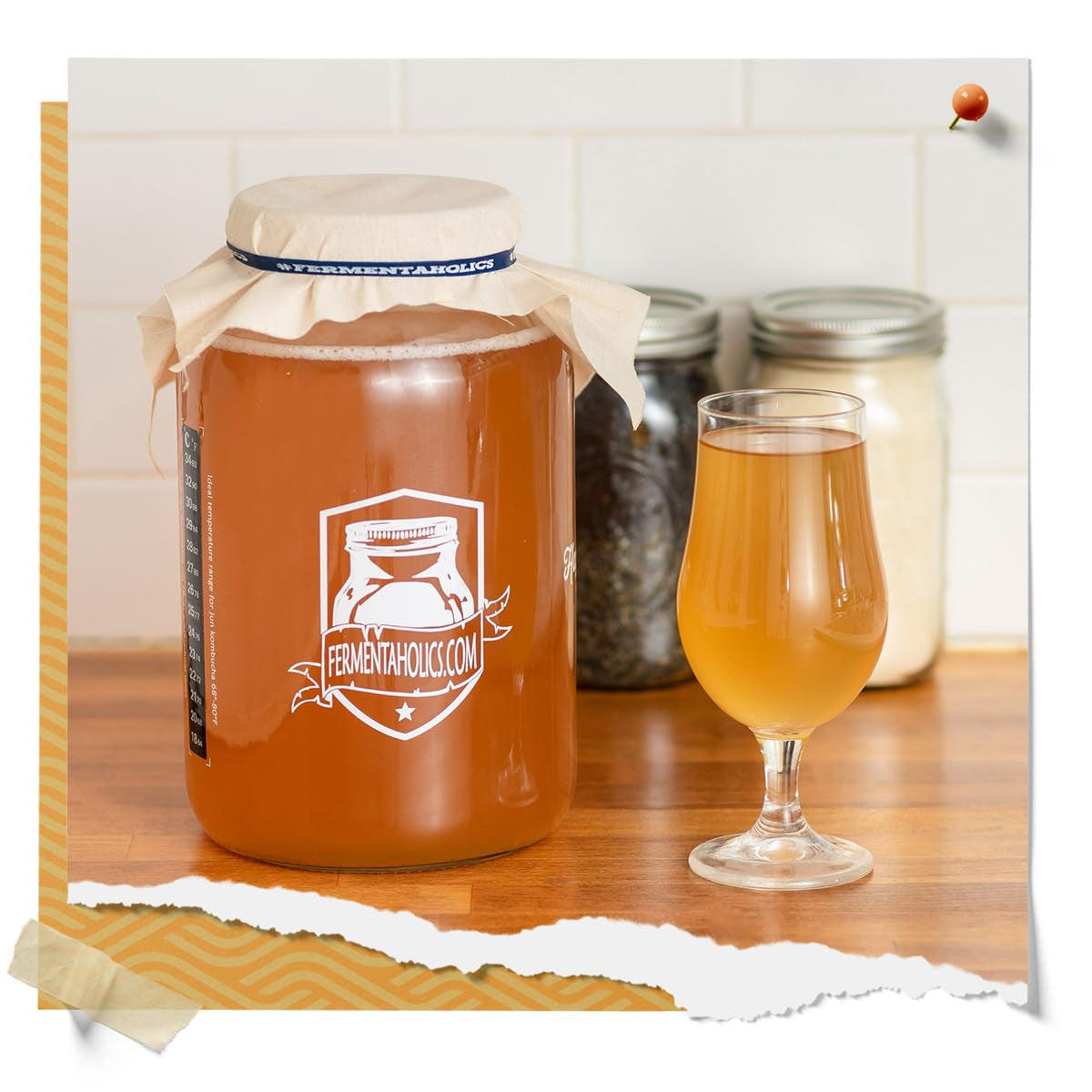 organic-kombucha-scoby-with-twelve-ounces-of-starter-tea-live-starter-culture-makes-a-one-gallon-batch-1-5-cups-of-strong-mature-starter-tea-brew-your-own-kombucha-1-pack-1-count