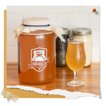 ORGANIC Kombucha SCOBY with Twelve Ounces of Starter Tea - Live Starter Culture - Makes a One Gallon Batch - 1.5 Cups of Strong Mature Starter Tea - Brew Your Own Kombucha (1 Pack, 1, Count)4