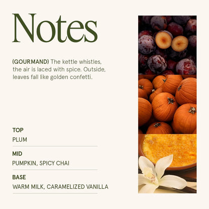 Pumpkin Chai Scented Candles for Home, Natural Soy 2-Wick4