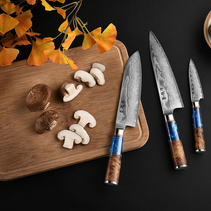 Japanese Chef Knife Set 3 Pcs, 67-Layer Damascus Kitchen Knife Set with VG10 Steel Core, Professional Sharp Damascus Knives with Ocean-Blue Ergonomic Handle, Include Elegant Cooking Gifts Box2