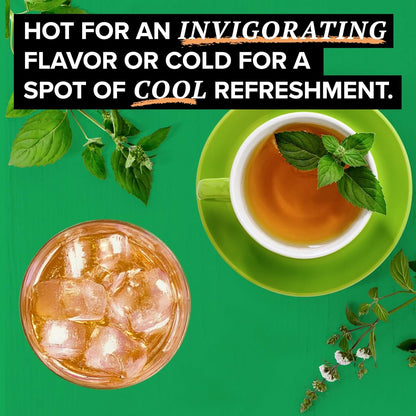 TAZO Organic Refresh Mint Herbal Tea Bags with Peppermint and Spearmint, Caffeine Free, 16 Total Tea Sachets4