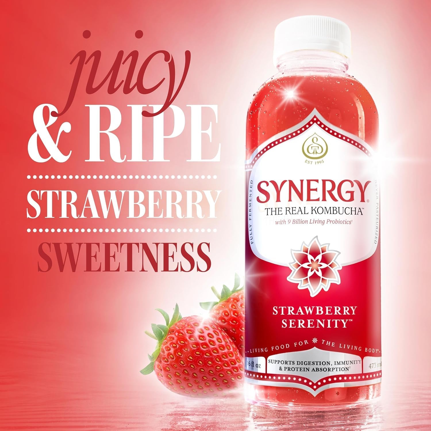 the-real-kombucha-strawberry-serenity-16-fl-oz-bottle-raw-probiotic-drink-for-gut-health-and-immune-support