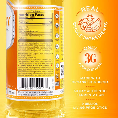 SYNERGY the Real Kombucha - Mystic Mango - 16 Fl Oz Bottle - Raw Probiotic Drink for Gut Health and Immune Support2