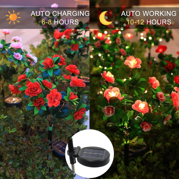 Garden 4 Pack LED Solar Flower Lights with More Realistic Azalea Flowers Solar Garden Lights Outdoor Waterproof for Yard Patio Lawn Pathway Walkway Decoration 4-Pack Red & Pink Combo3