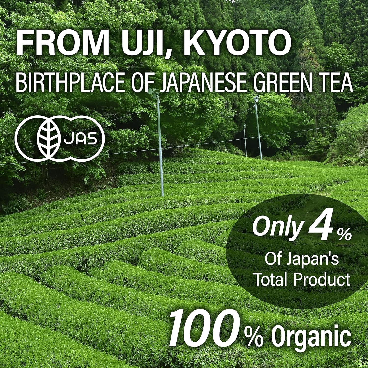 japanese-organic-sencha-green-tea-loose-leaf-2-82oz-premium-japanese-loose-tea-leaves-from-japan-a-fresh-refreshing-taste-umami-natural-sweetness-sugar-free-80g