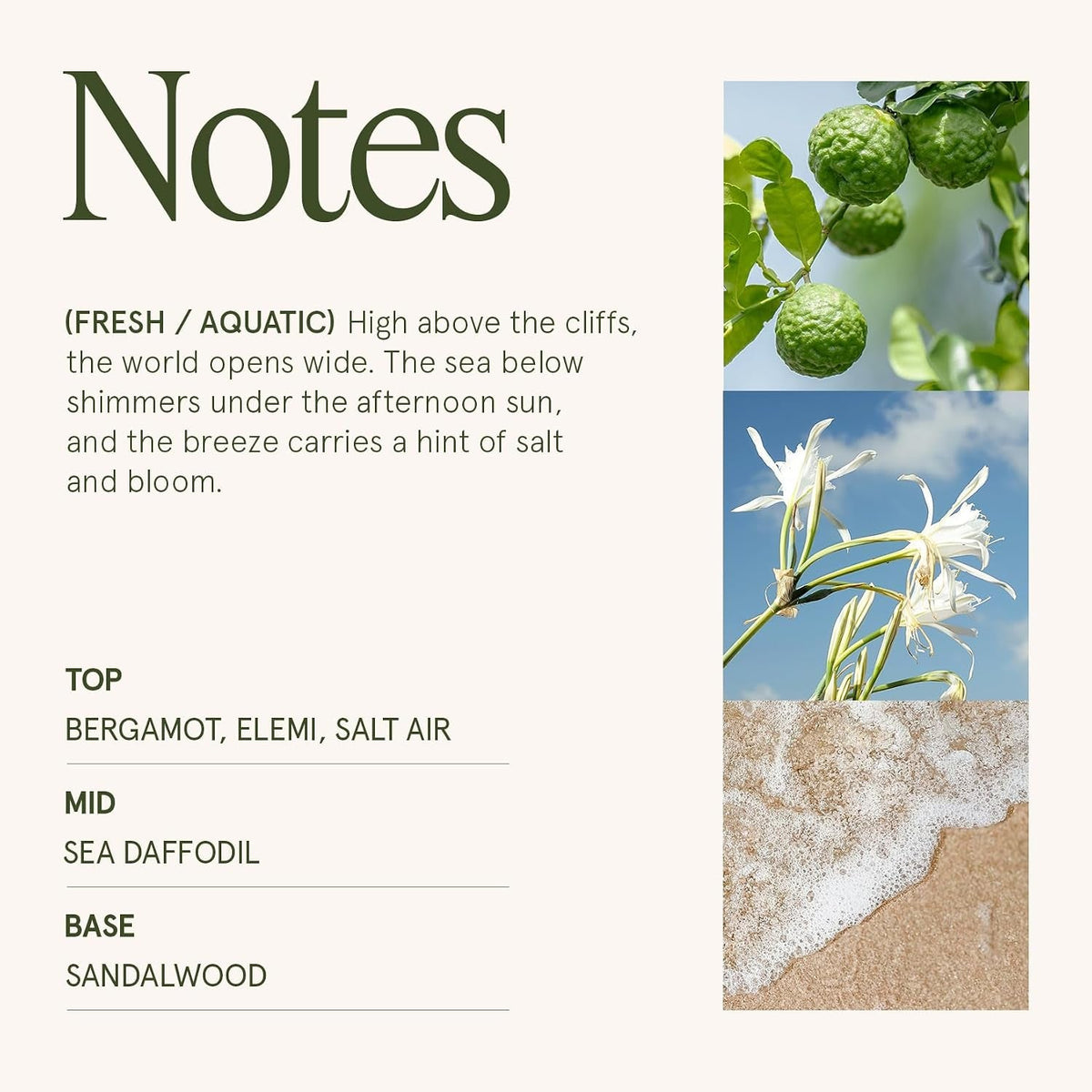 santorini-salt-air-scented-candles-for-home-soy-wax-40-hrs