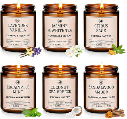 Scented Candles for Home, 6-Pack Soy Candle Gift Set, up to 300 Hours1