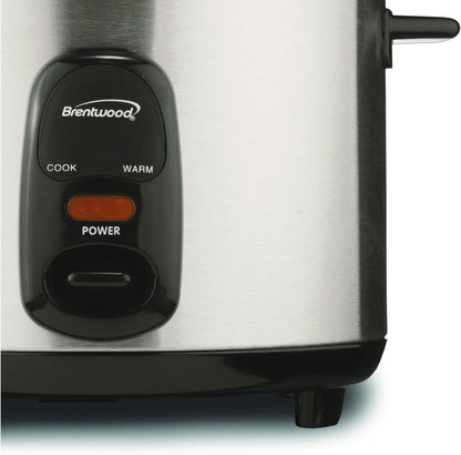 TS-20 Rice Cooker,10-Cup,Stainless Steel7