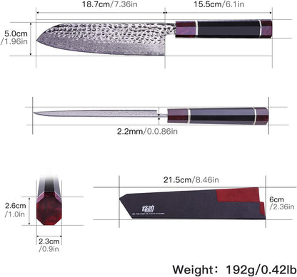 Eternity Series Japanese Santoku Knife with ABS Sheath, Professional Kitchen Knife, 9Cr18Mov Damascus Steel Blade, Resin Octagonal Handle, for Meat, Fruits, Vegetables, 7 Inches4