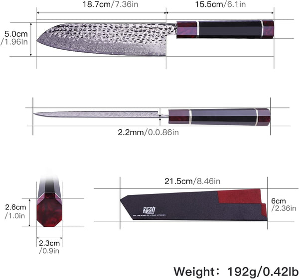 Eternity Series Japanese Santoku Knife with ABS Sheath, Professional Kitchen Knife, 9Cr18Mov Damascus Steel Blade, Resin Octagonal Handle, for Meat, Fruits, Vegetables, 7 Inches4