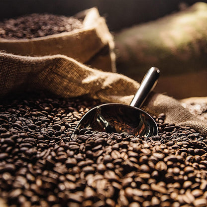, Caramel Vanilla Cream, Ground Flavored Coffee, Light Roast, Bagged 12Oz.9