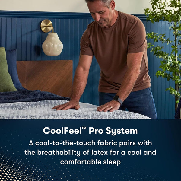 Icomfortpro - Buckingham 16" Plush Pillow Top Queen Foam Mattress5